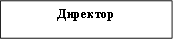 Директор
