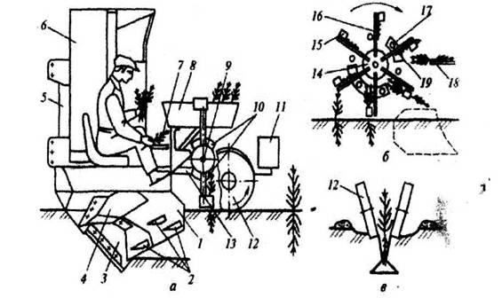 Схема лесных культур. Скл-1 Лесопосадочная машина. СБН-1а Лесопосадочная машина. Посадочная машина МЛУ-1а. Машина Лесопосадочная для крупномера МЛК-1.