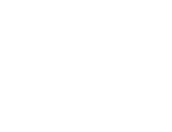 magnit.gif