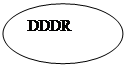 ����: DDDR