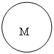 Овал: M