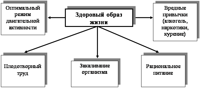 Образ схема. Схема основных составляющих зож. основы здорового образа жизни схема. процесс организации здорового образа жизни. компоненты зож схема.