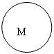Овал: M