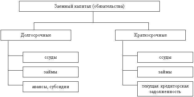 Заемный капитал представлен. Структура заемного капитала рисунок. Классификация заемного капитала схема. Состав заемного капитала. Составляющие заемного капитала.