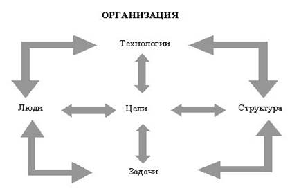 Внутренняя среда организации
