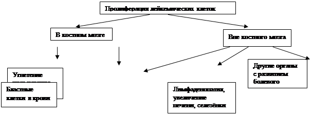 Подпись: Вне костного мозга