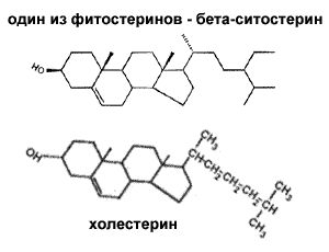 Описание: http://www.cbio.ru/images/library/sitoster.gif