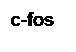 �������: c-fos