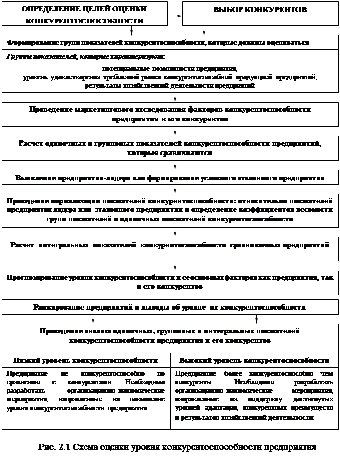 Система показателей конкурентоспособности предприятия. Анализ стратегических рисков. Социальное развитие организации. Оценка уровня зрелости процессов. Показатели устойчивого развития компаний.