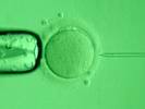 Описание: http://www.baby-ivf.ru/i/ixi1.jpg