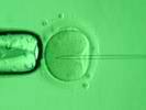 Описание: http://www.baby-ivf.ru/i/ixi2.jpg