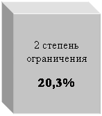 Подпись: 2 степень ограничения
20,3%