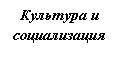 �������: �������� � ������������