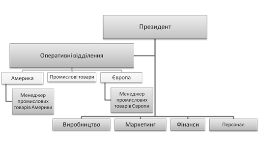 Мультинаціональна матрична структура
