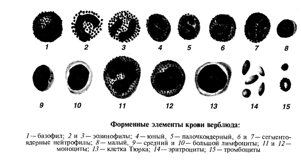 Подпись: