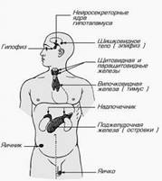 http://my-edu.ru/edu_bio/img/3_08_1.jpg