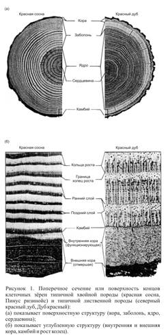 Описание: C:Documents and SettingsФанильРабочий стол3.jpg