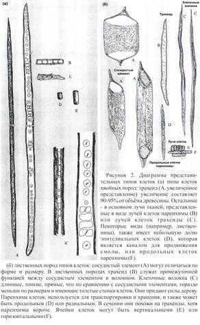 Описание: C:Documents and SettingsФанильРабочий стол7.jpg