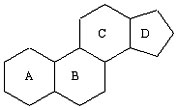 Структура стероидов