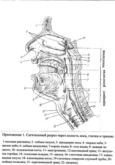 Описание: сканирование0004.jpg