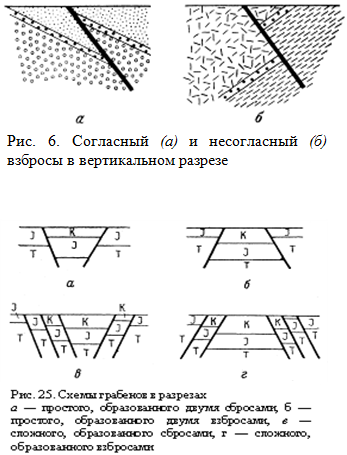 ��������: 1.png