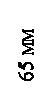 �������: 65 ��