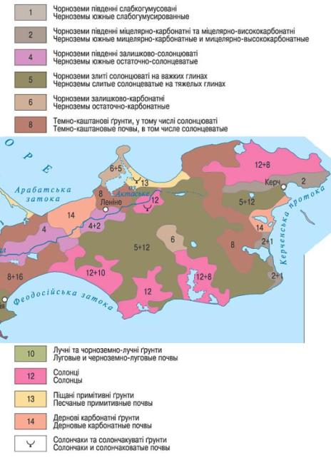 Описание: C:Documents and SettingsЭльдарМои документыМои рисункипочвы.jpg