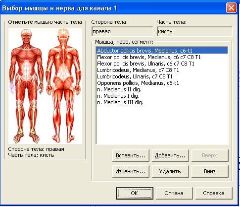 рука.JPG