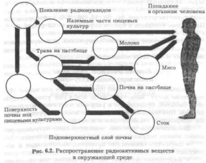 Экология: Радионуклиды