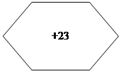 �������������: +23
