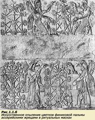 рисунок