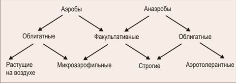 Аэробы Анаэробы