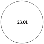 ����:        23,01
