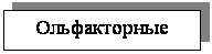 �������: ������������
