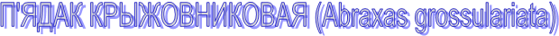 �