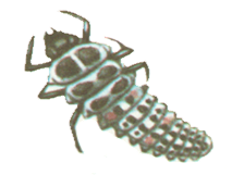 Описание: 112_156_.gif