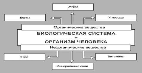 Описание: http://culture.mchs.gov.ru/upload/learning/img/Les7/guinkl.JPG