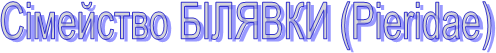 ѳ������� ������� (P�er�dae)