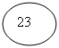 ����: 23