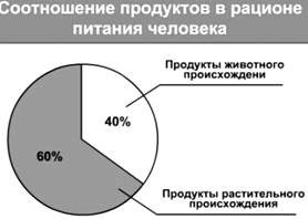 Описание: http://culture.mchs.gov.ru/upload/learning/img/Les8/4t5jhmn%20.JPG