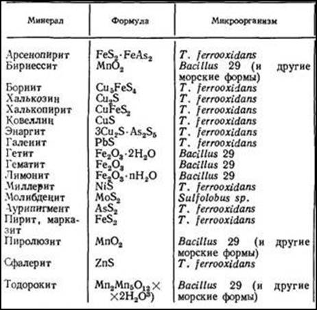 Описание: C:Documents and SettingsAdminРабочий столclip_image0026ю.jpg