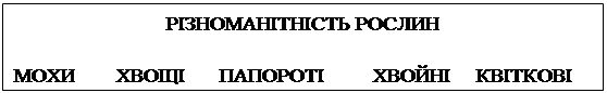 �������: в�����Ͳ�Ͳ��� ������

����	���ٲ	������Ҳ	����Ͳ	�²���²
