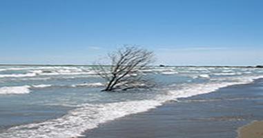 ��������: 200px-Lake_Balkhash_May_2007_3