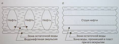 Описание: C:UsersRAMAZANDesktopНовая папкаP5071673.JPG