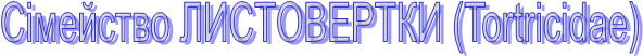 ѳ������� ����������� (Tortr�c�dae)