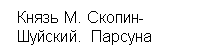 Подпись: Князь М. Скопин-
Шуйский. Парсуна