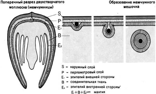 Описание: http://www.jewellery.org.ua/foto08/imgs143.jpg