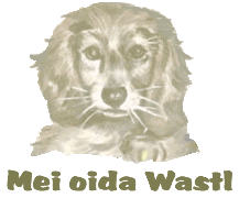 ��������: ��������: Wasti