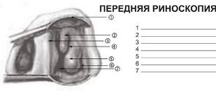 Передняя риноскопия