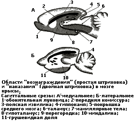 рисунок